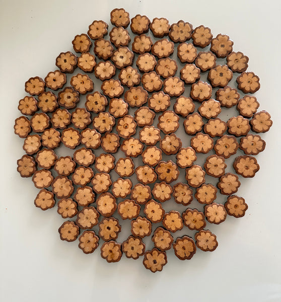 Ayahuasca Vine Altar Slices