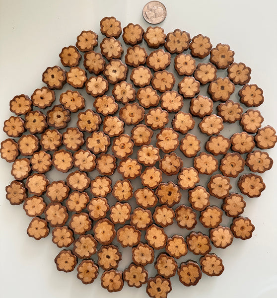 Ayahuasca Vine Altar Slices