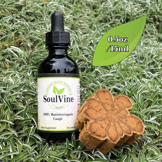 "Mother Vine" (Ambi Sacha, Yagé) Extract 15ml (0.5 oz)