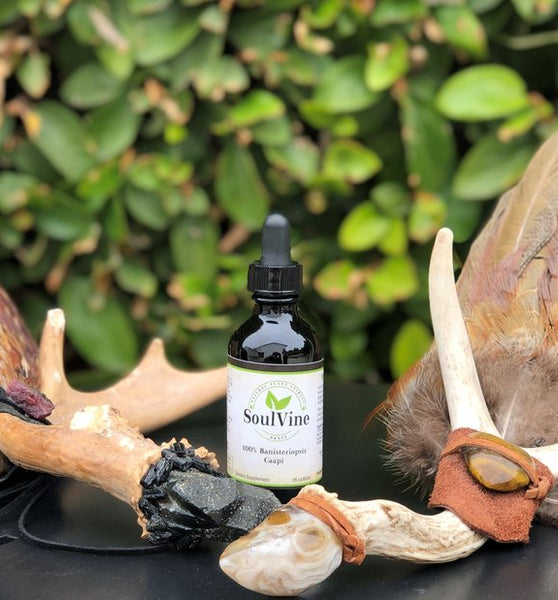 "Banisteriopsis Caapi Extract 60ml (2 oz.)"- Sacred Vine Tincture