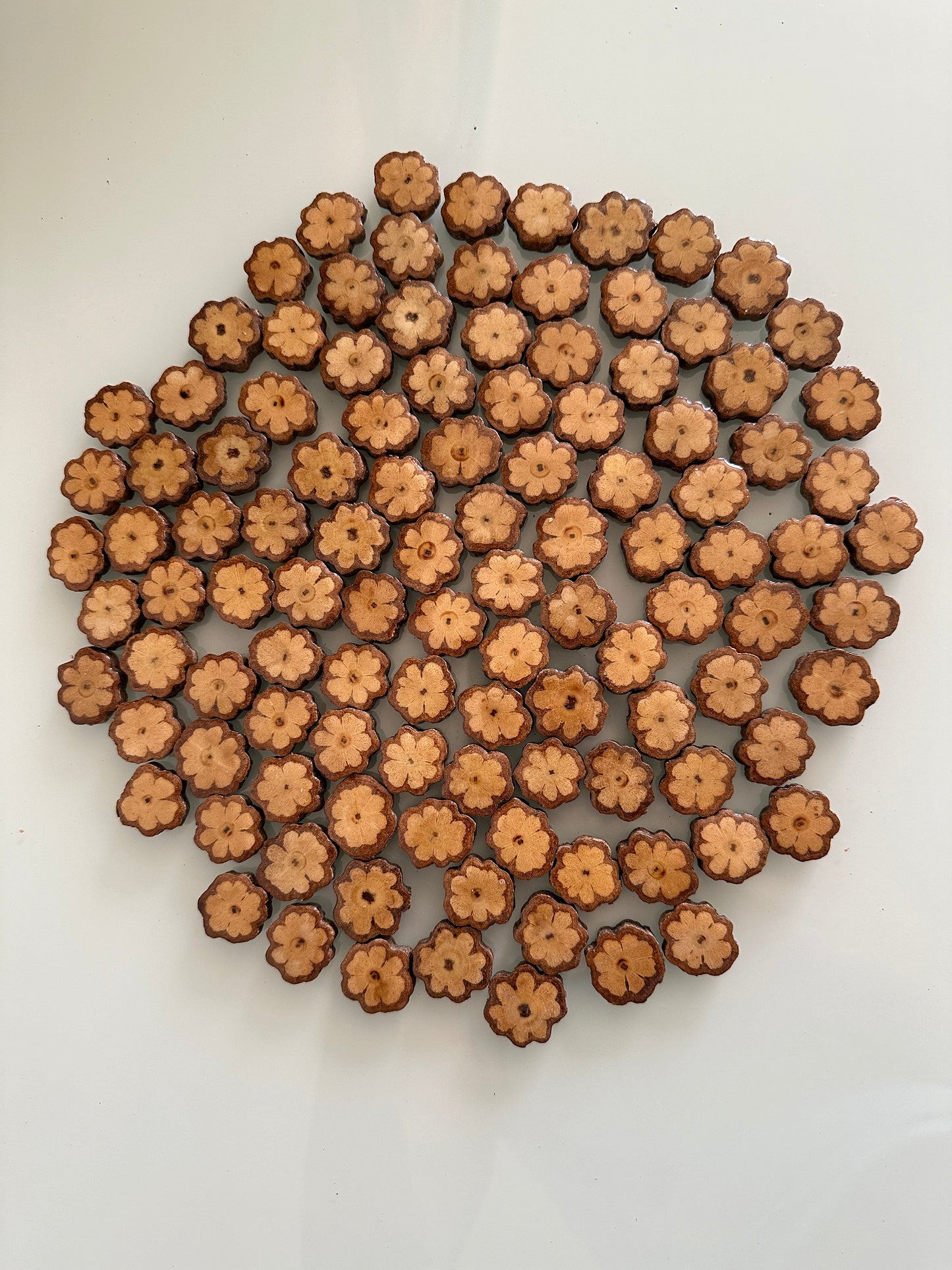 Ayahuasca Vine Altar Slices