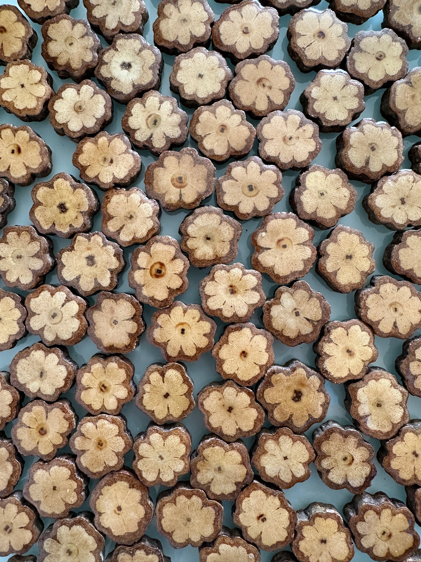 Ayahuasca Vine Altar Slices