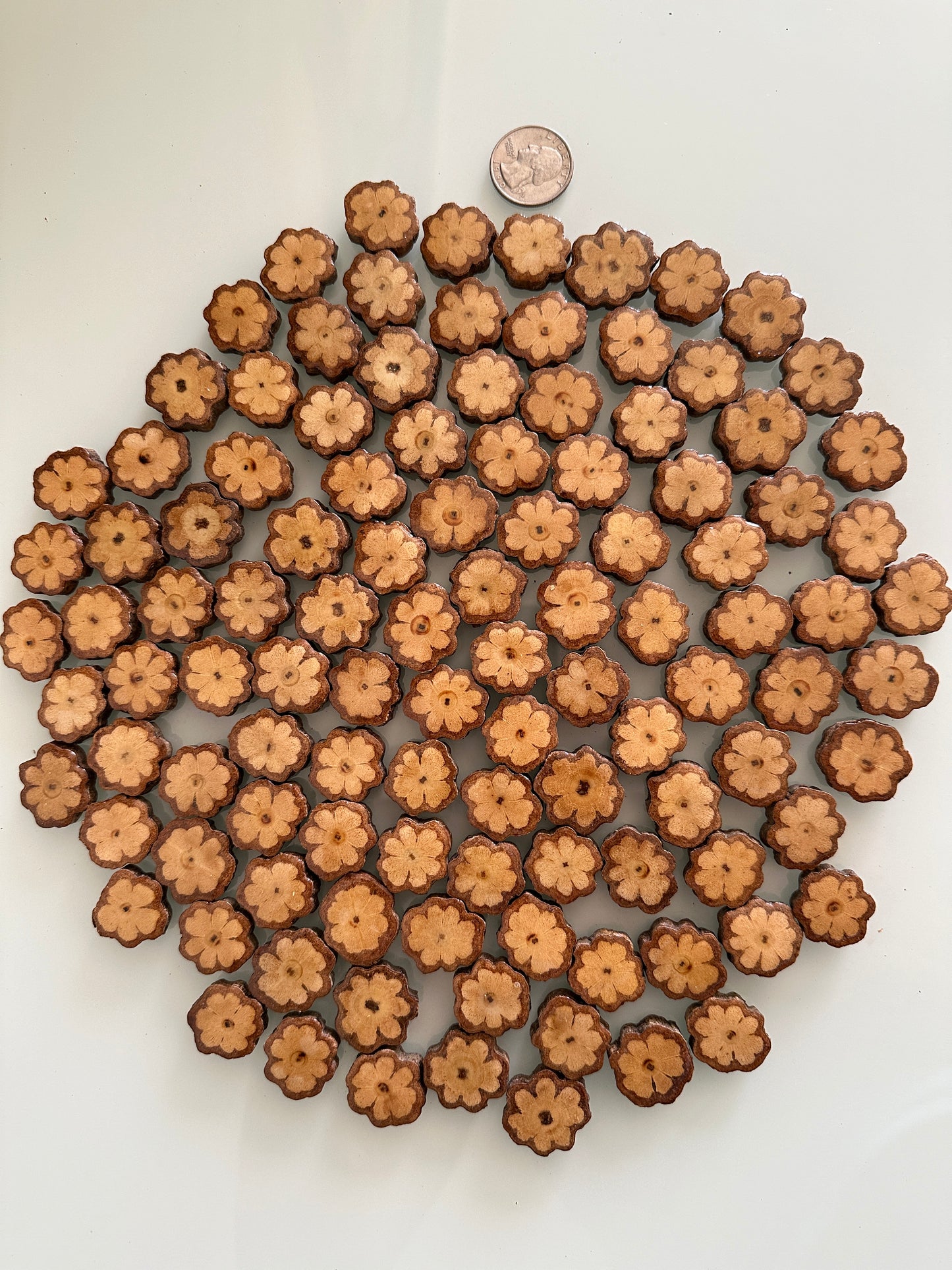 Ayahuasca Vine Altar Slices