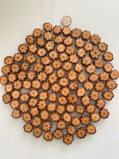 Ayahuasca Vine Altar Slices