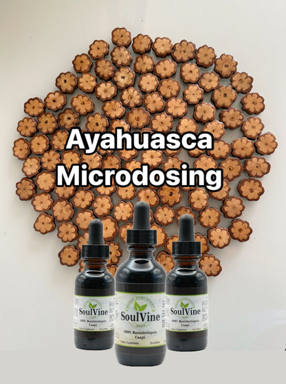 Ayahuasca Vine Altar Slices
