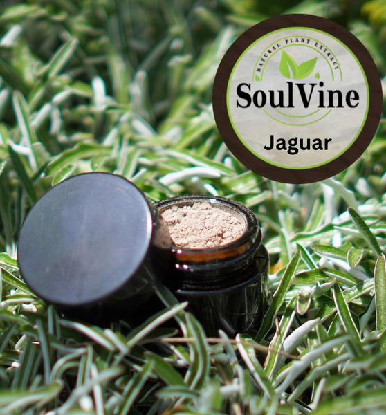 Nukini Onçai Jaguar