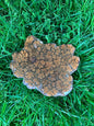 "Rare Aya Altar Piece (6.65 oz.)" Rare Aya Altar Piece (6.65 oz.)
